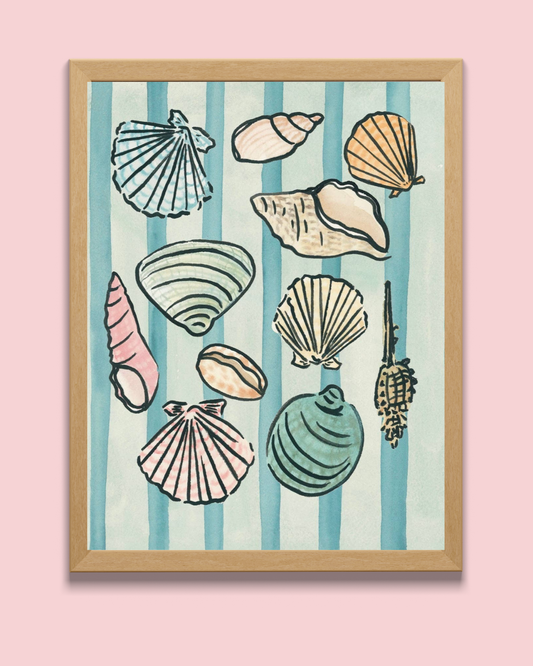 Shells and Stripes Fine Art Print