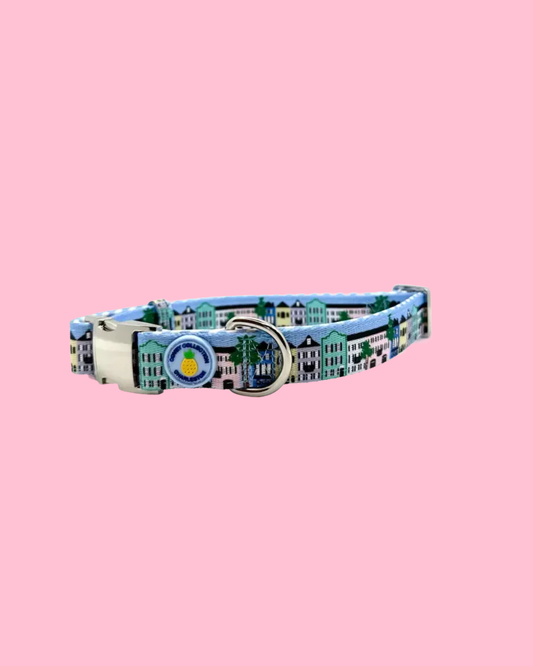 Rainbow Row Dog Collar