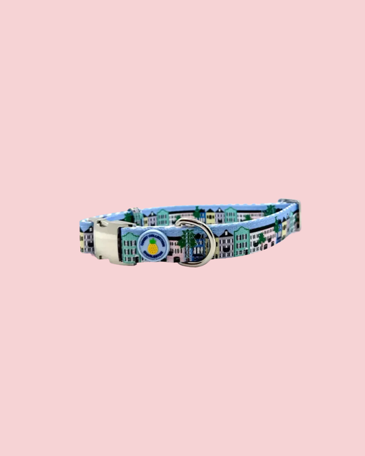 Rainbow Row Dog Collar