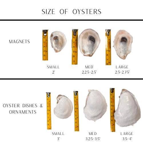 South Carolina Christmas Oyster Shell Ornaments - Gifts