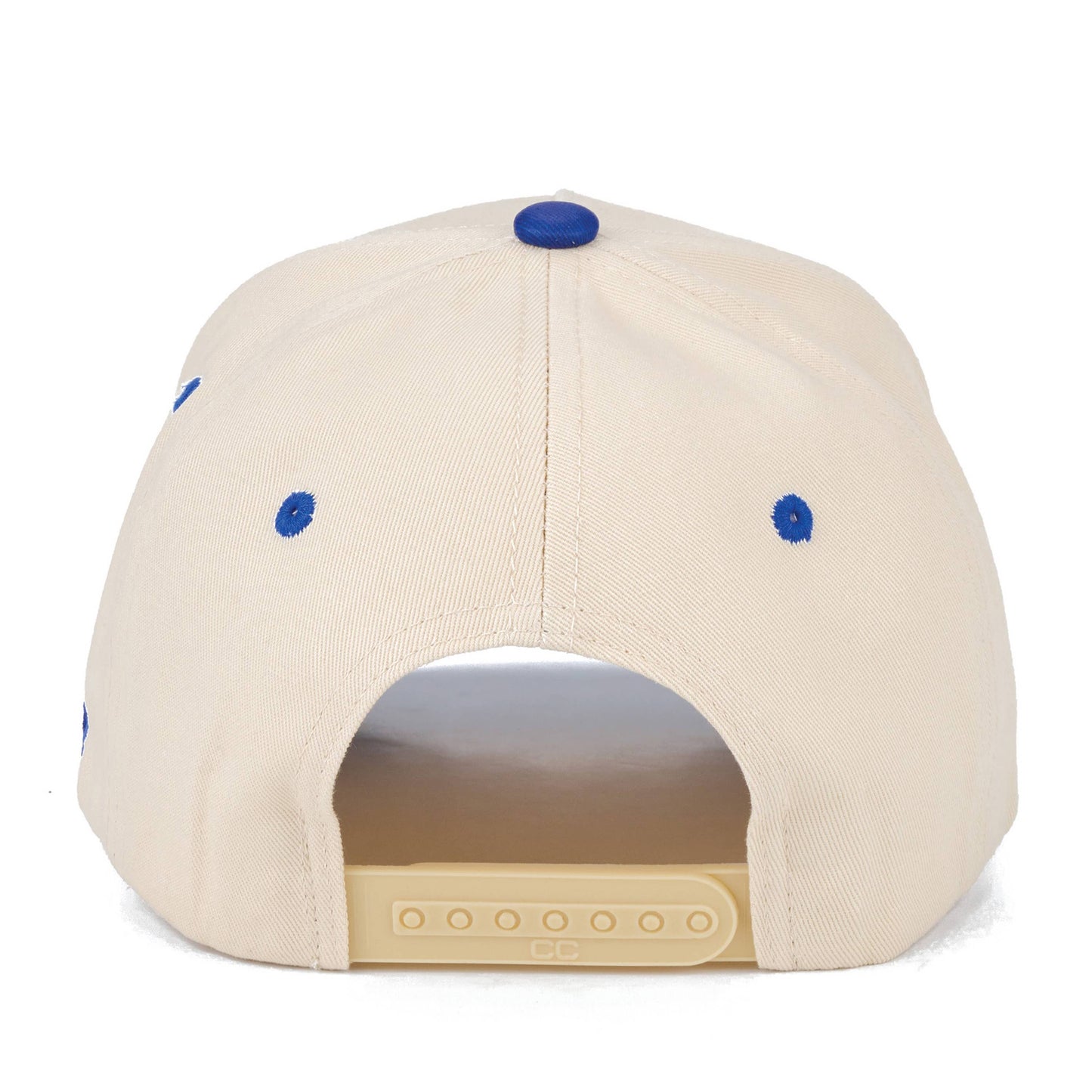 ASK ME ABOUT MY DOG TRUCKER HAT