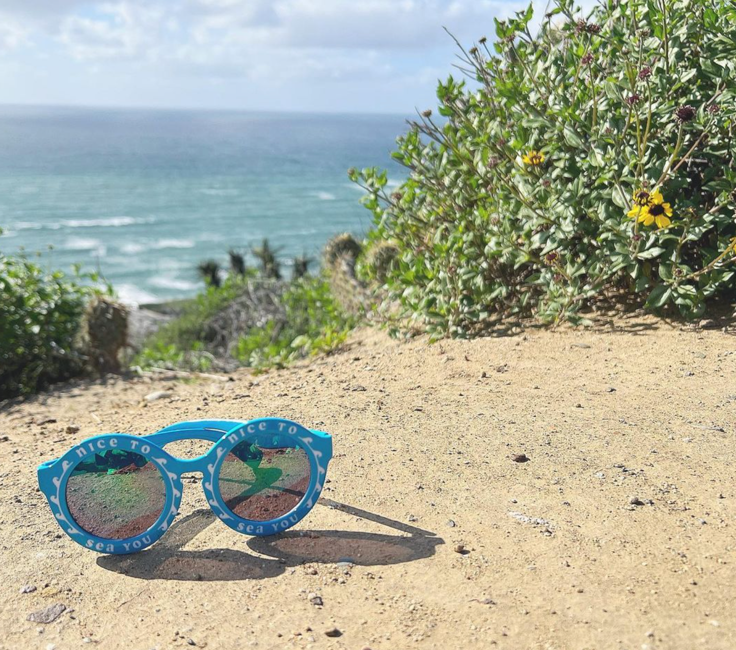 Nice To Sea You Sunglasses