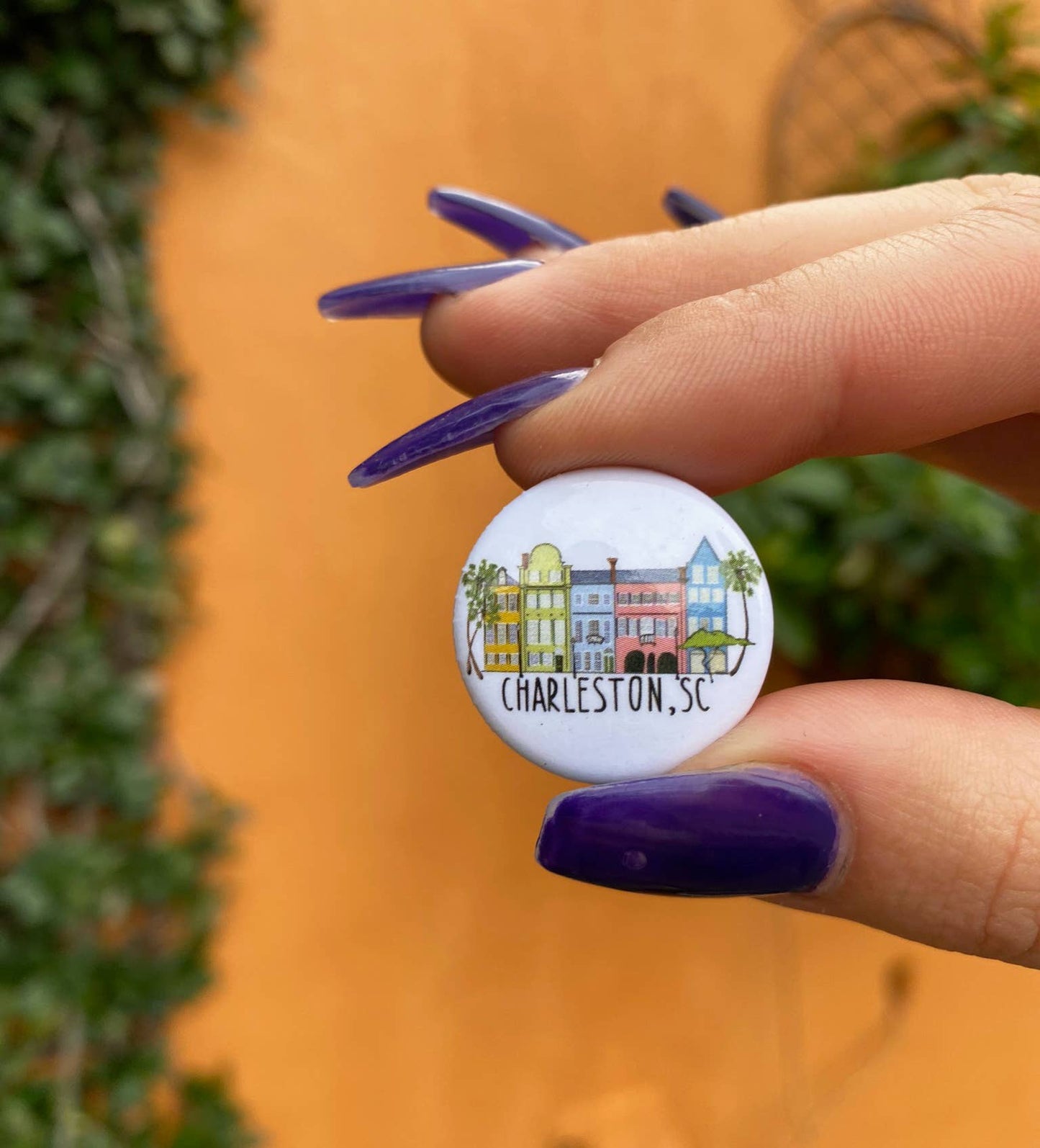 Rainbow Row Charleston Button