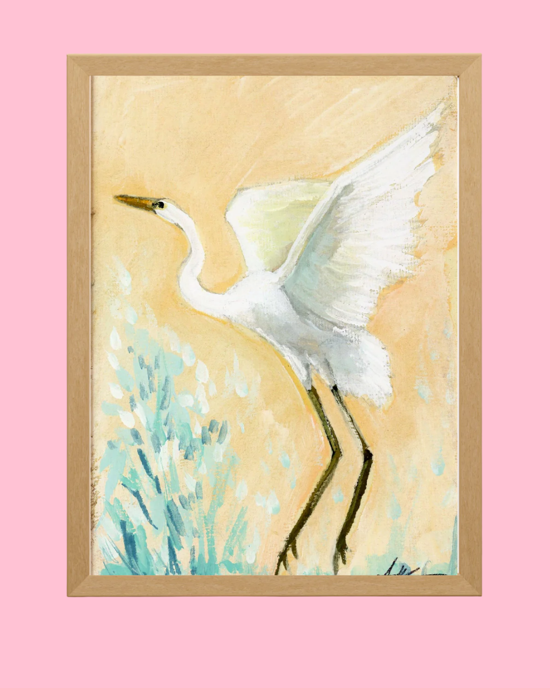 Bird Collection