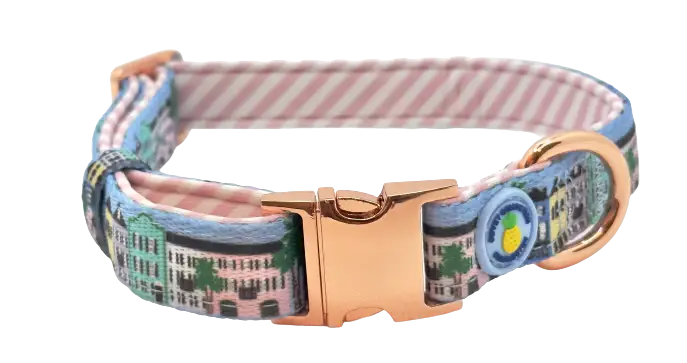 Rainbow Row Dog Collar
