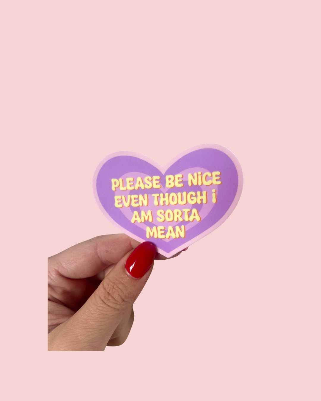 Please Be Nice Even Though I Am Sorta Mean Vinyl Sticker