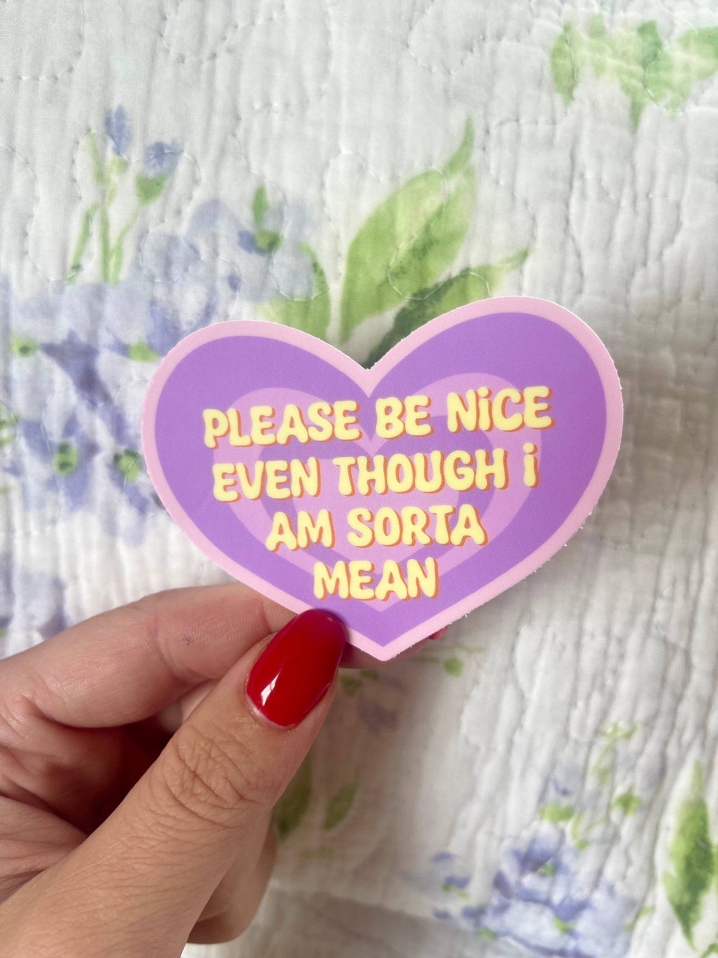 Please Be Nice Even Though I Am Sorta Mean Vinyl Sticker