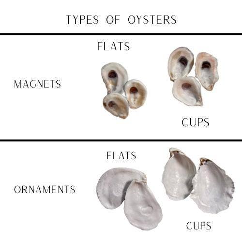 South Carolina Christmas Oyster Shell Ornaments - Gifts