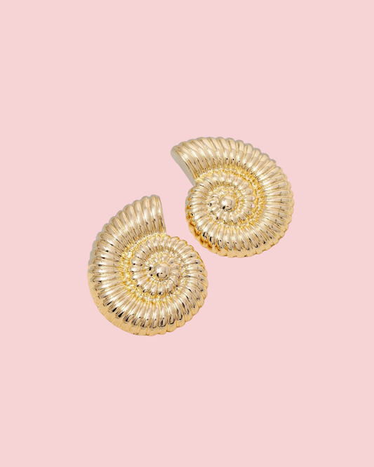 Ribbed Texture Nautilus Seashell Earrings