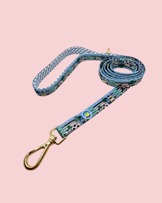 Rainbow Row Leash - Charleston Edition