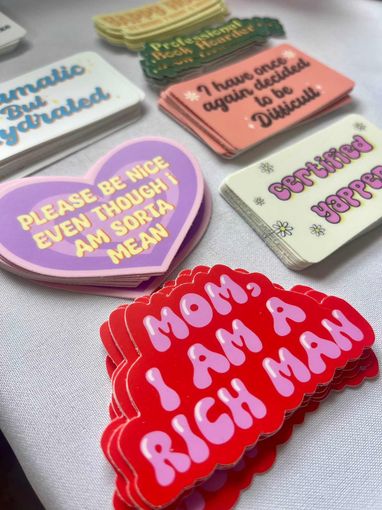 Please Be Nice Even Though I Am Sorta Mean Vinyl Sticker