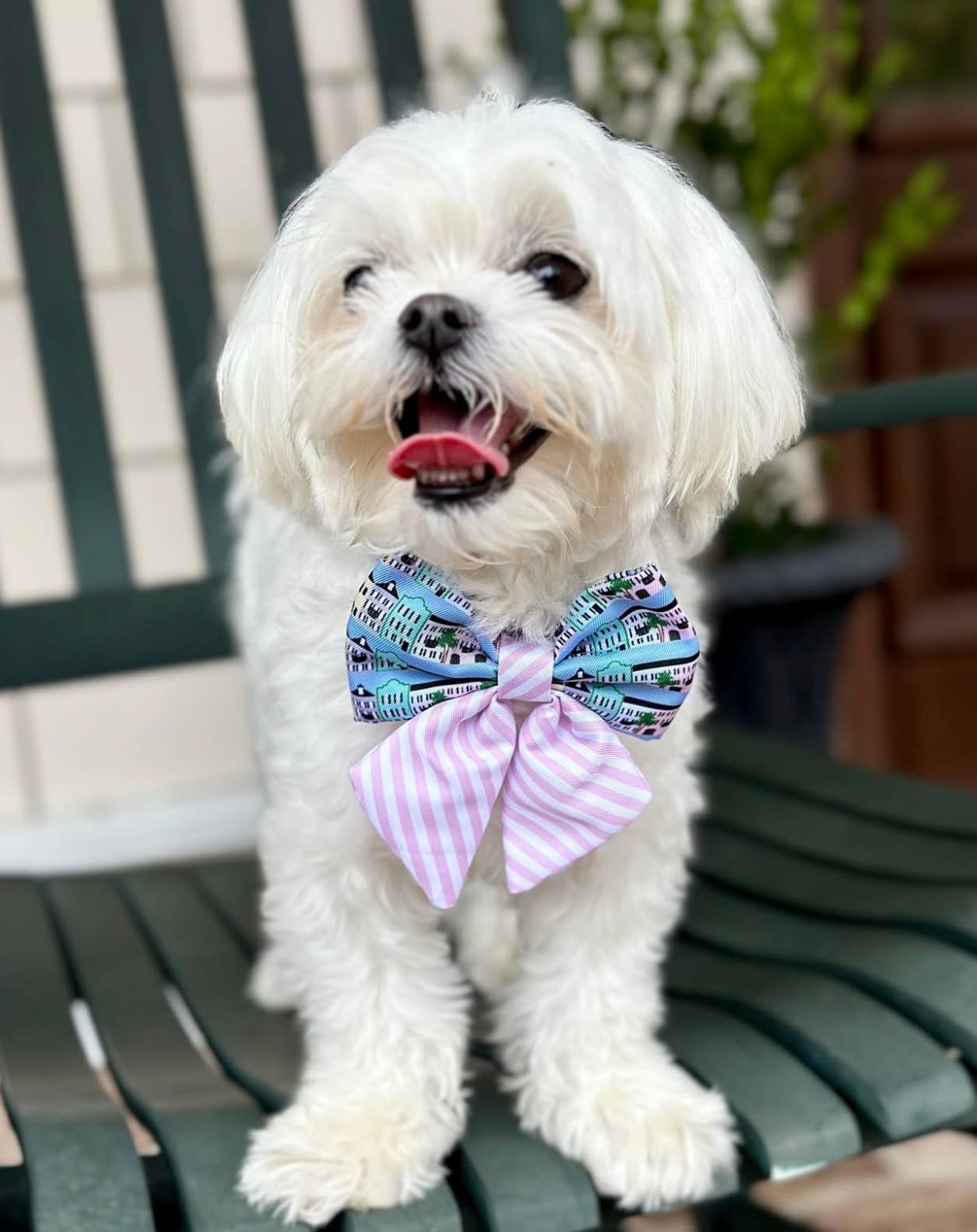 Rainbow Row Bow Tie - Pink