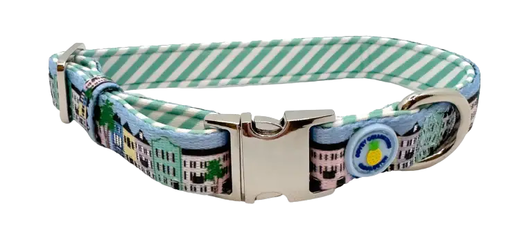 Rainbow Row Dog Collar
