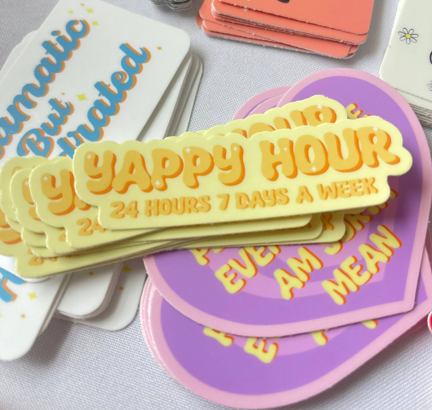 Please Be Nice Even Though I Am Sorta Mean Vinyl Sticker