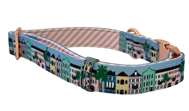 Rainbow Row Dog Collar