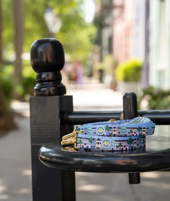 Rainbow Row Leash