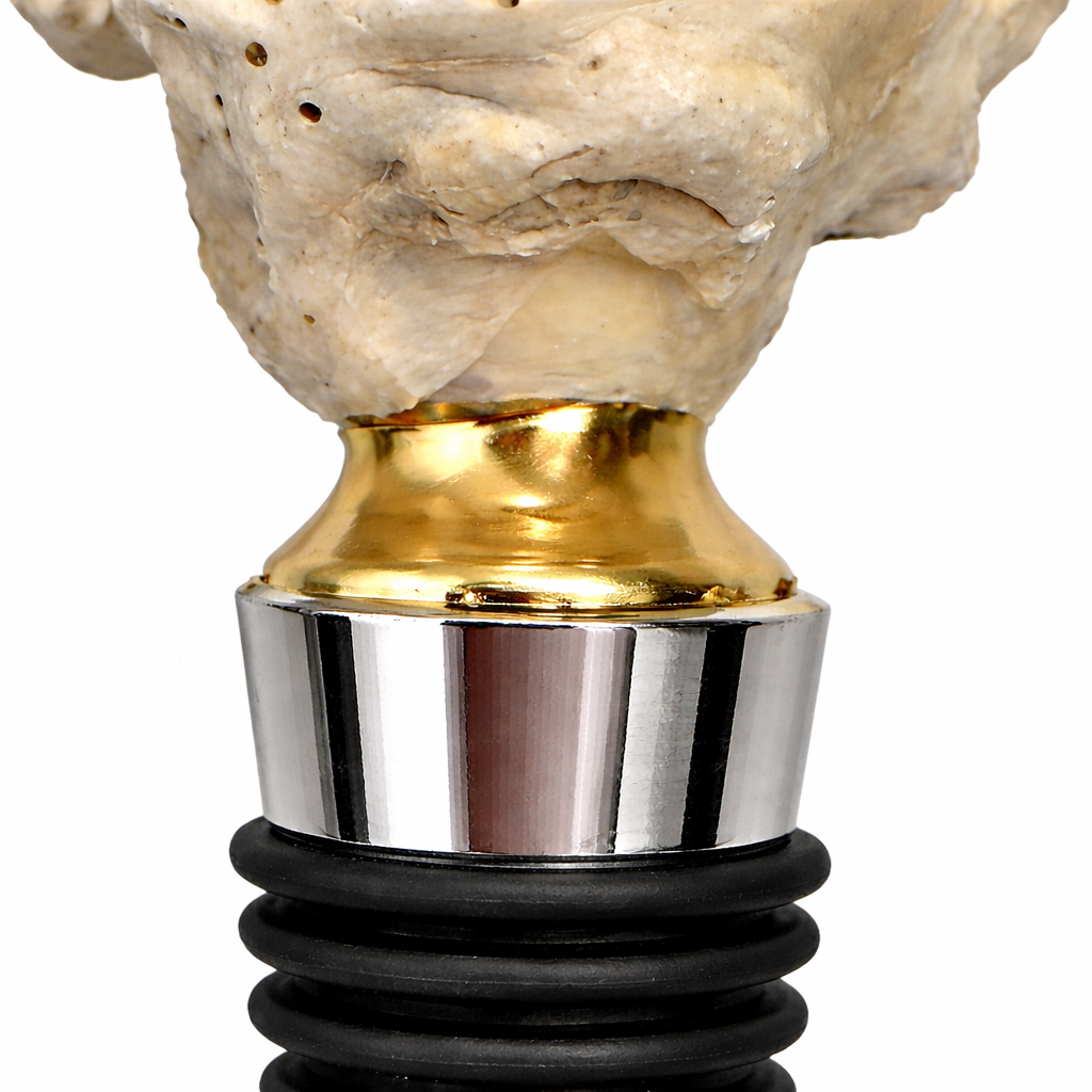 Rosé All Day Oyster Stopper Light Pink / Gold / Medium