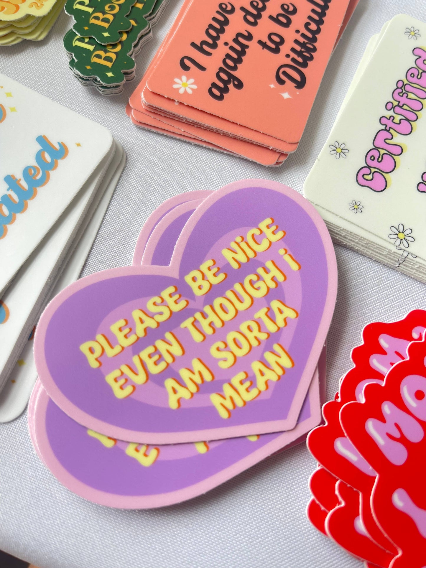 Please Be Nice Even Though I Am Sorta Mean Vinyl Sticker