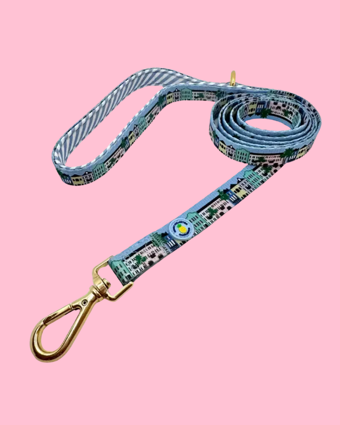 Rainbow Row Leash - Charleston Edition