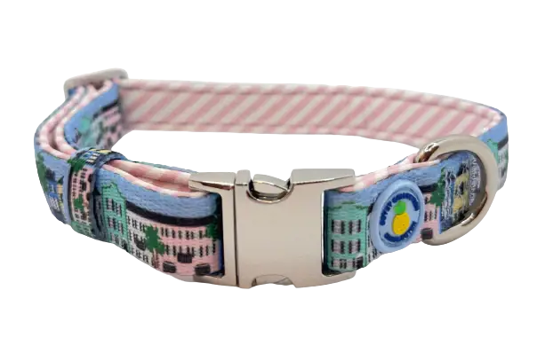 Rainbow Row Dog Collar