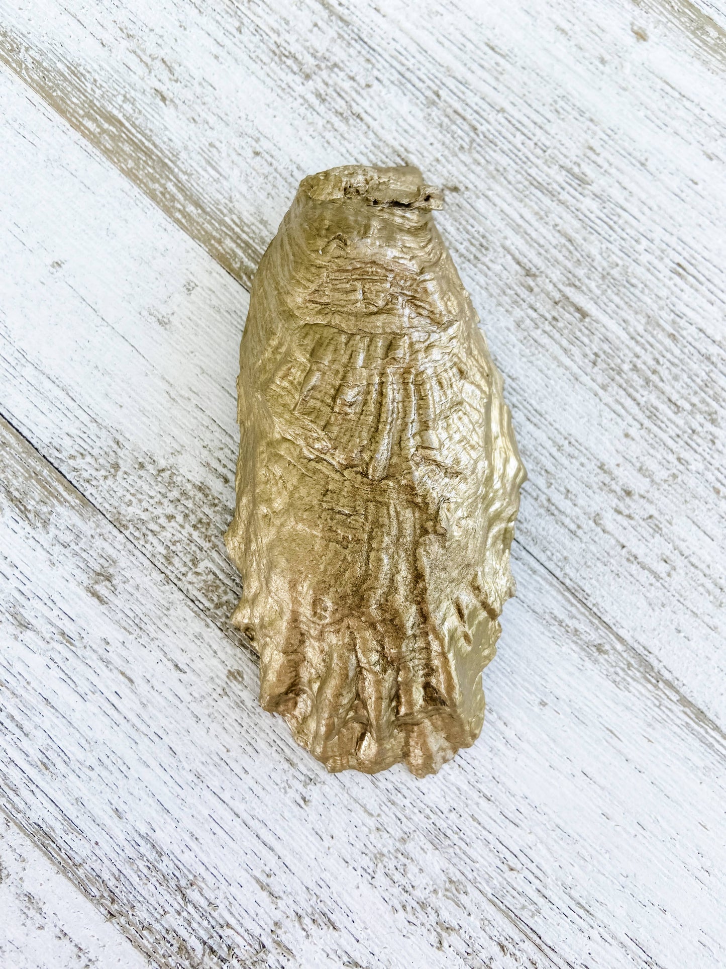 Rainbow Row Oyster Shell Ring Dish | Charleston, SC