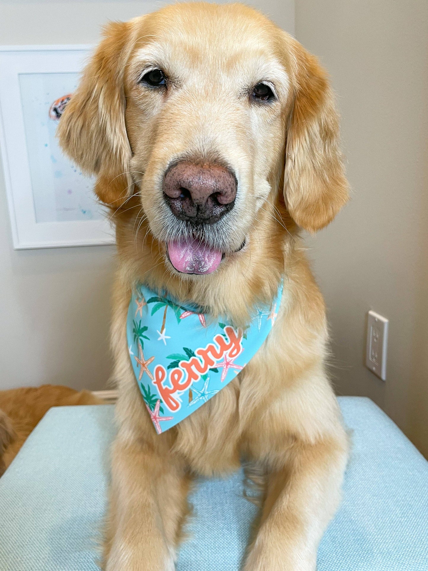 Starfish on Vacay Bandana