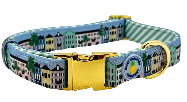 Rainbow Row Dog Collar
