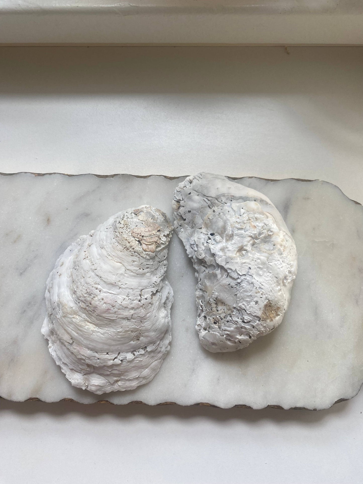 Champagne Oyster Shell Jewelry Dish