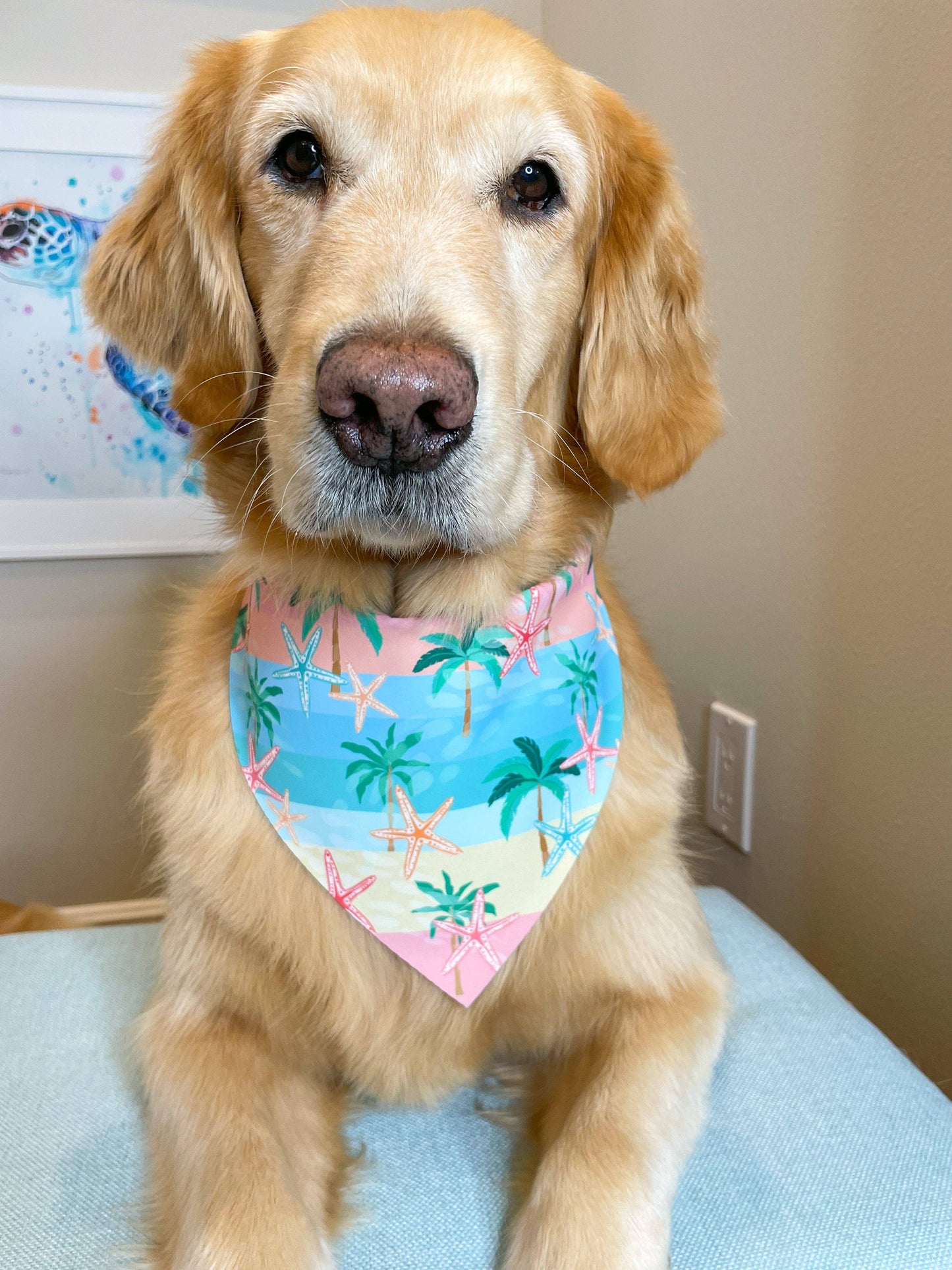 Starfish on Vacay Bandana